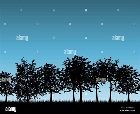 Silhouettes Of Tree Landscapes Stock Vector Image And Art Alamy