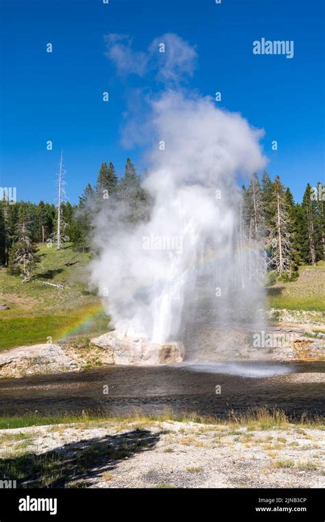 Riverside Geyser Erupts In Yellowstone National Park With A Rainbow In