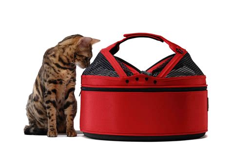 The sleepypod mobile pet bed is a transformative carrier. Sleepypod | Cat carrier, Pet carriers, Dog carrier