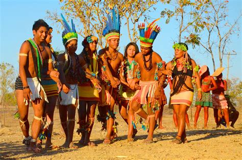 Tribos Indigenas Em Goias Ensino
