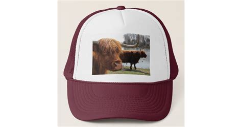 Scottish Highland Cattle ~ Hat