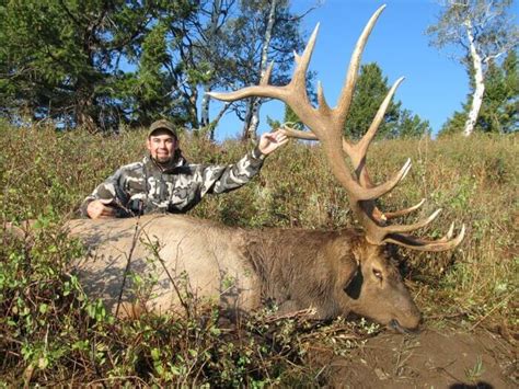 Colorado Private Ranch Archery Elk Over The Counter Tag