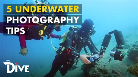 5 Underwater Photography Tips For Beginners The Dive Youtube