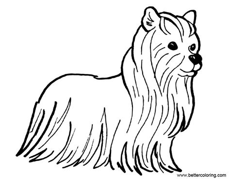 cute yorkie coloring pages lisaphotog