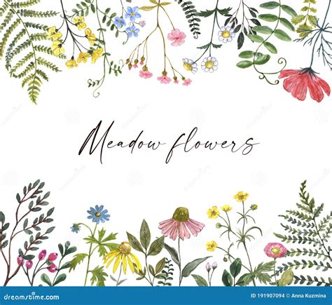 Wildflower Floral Border With Wild Flowers And Green Leaves On White