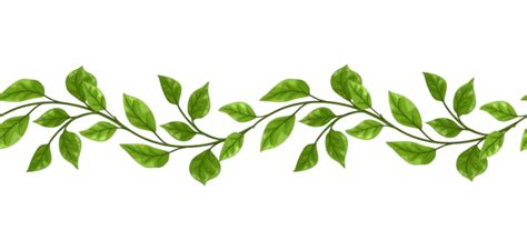 Lianas Png Vectores Psd E Clipart Para Descarga Gratuita Pngtree