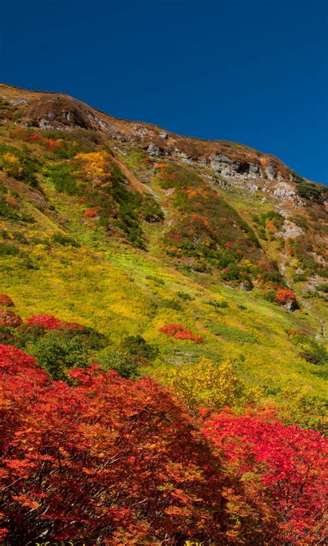 Colorful Autumn Trees Piedmont Mountains Under Blue Sky 4k Hd Autumn