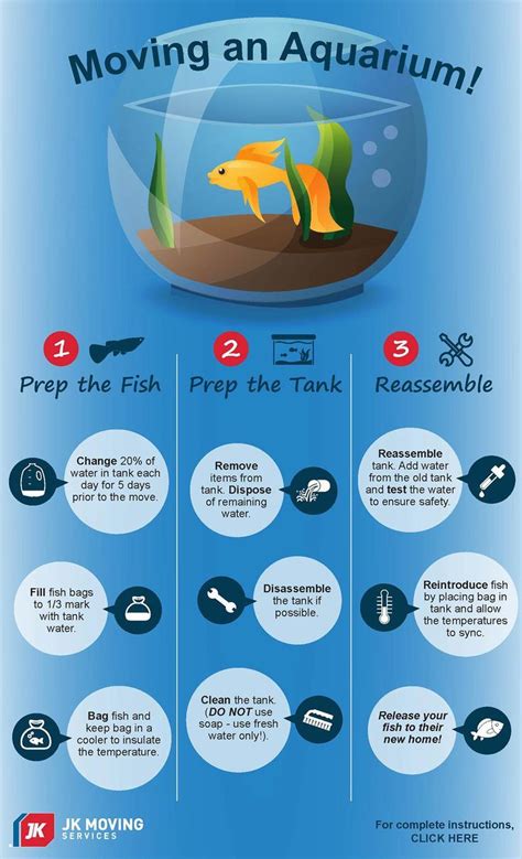 Moving An Aquarium Infographic On Behance Tropical Fish Aquarium