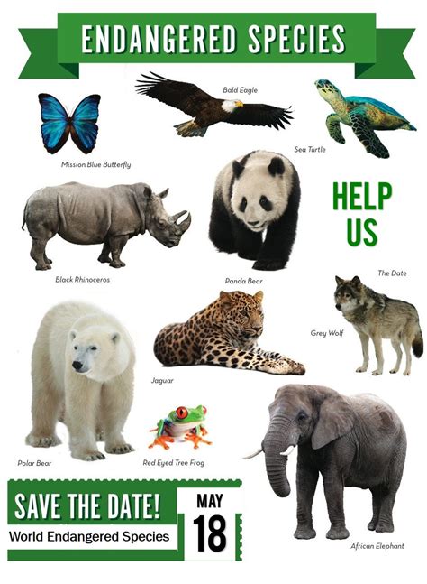 Endangered Species Day May 18th