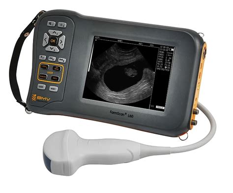 Sheep Pig Cattle Horse Pregnancy Vet Ultrasound System Sonar Scanners