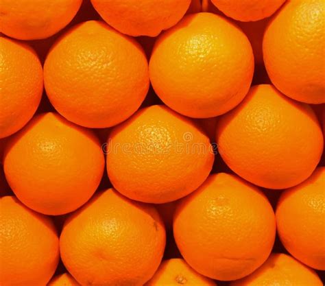 Malta Or Orange Fresh Fruits Stock Image Image Of Background