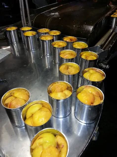 Process Of Canning Food Growing And Gathering