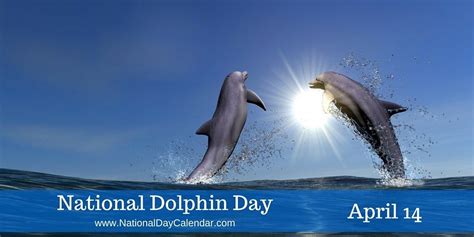 National Dolphin Day April 14 National Day Calendar Dolphins