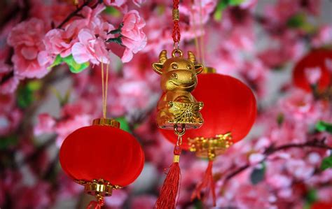 Do you know why the 12 chinese zodiac animals are in the sequence above? Chinese New Year 2021: How To Plan A Virtual Celebration ...