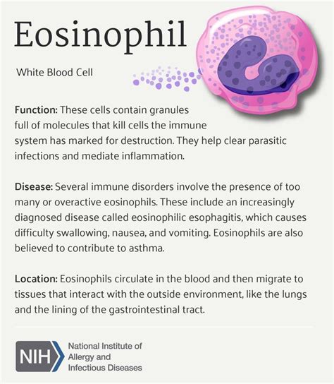 Eosinophil Medical Laboratory Science Medical Student Study Medical