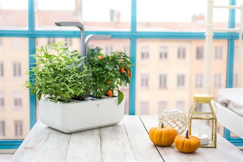 14 Indoor Smart Garden Ideas You Will Love Smart Garden Guide