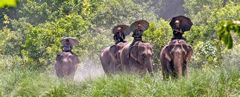 Bardia National Park Tour Nepal Wildlife Tour Package Bardia Tour Budget