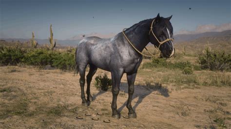 Red Dead Redemption 2 Wild Horse Breeds Locations Guide