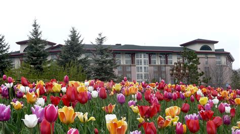 Soaring Eagle Spa and Salon, Soaring Eagle Casino Resort | Spas of America