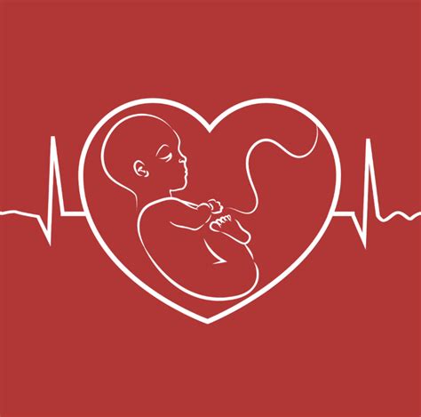 South Carolina Fetal Heartbeat Bill Tossed Out Usa Herald