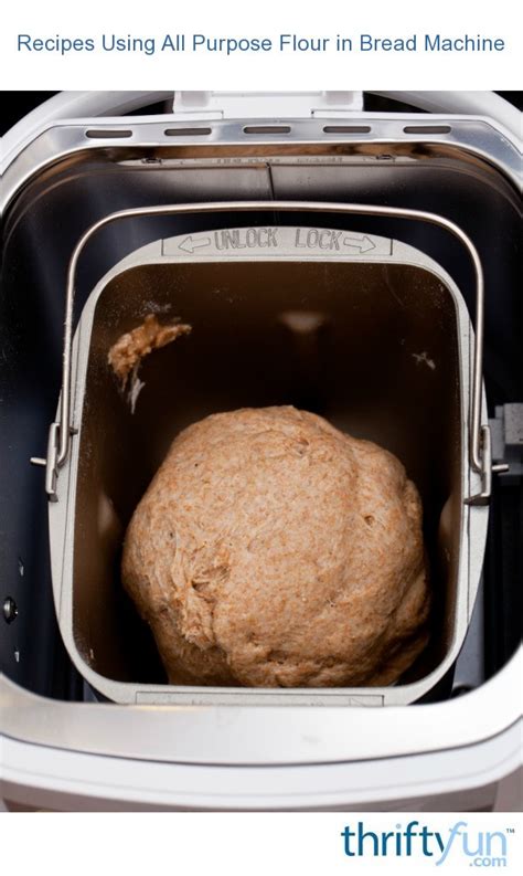 Bread machine pizza dough is the perfect solution for us busy moms! Cuisinart Convection Bread Maker Recipe Can You Make Pepperoni And Cheese Bread : Qfc Cuisinart ...