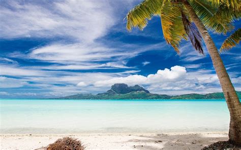 Landscape Beach Nature Palm Trees Sea Island Seychelles Sand Tropical Summer Rock Water
