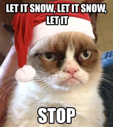 Grumpy Cat Christmas Meme 007 Let It Snow Comics And Memes