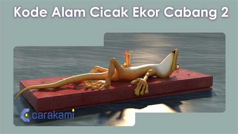 kode alam bertengkar