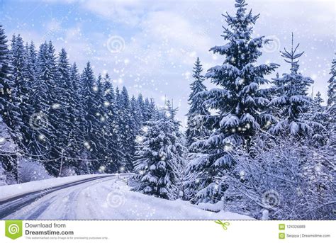 Christmas Winter Landscape Stock Image Image Of North 124326889