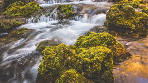 Download Wallpaper 2560x1440 Waterfall Moss Stones Flow Widescreen