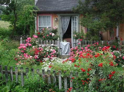 These popular cottage garden flowers have grown well in my colorado garden.for your garden check with local gardening groups, your neighbors, local gardening supply shops or do some internet research. Cottage Garden with Flower Carpet roses | Easy-care Flower ...