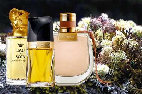 5 Best Chypre Floral Perfumes For Women Viora London