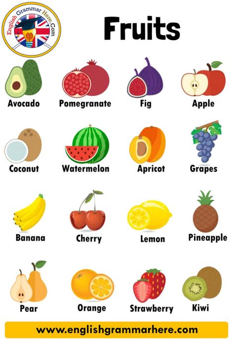 Fruits Names List Definition And Examples English Grammar Here