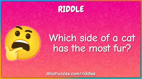 Which Side Of A Cat Has The Most Fur Riddle And Answer Aha Puzzles