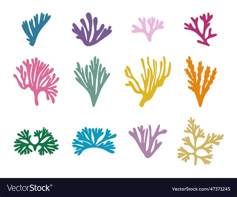 Colored Seaweed Set Marine Plant Elements Vector Image