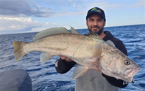 √ Recreational Fishing Nsw