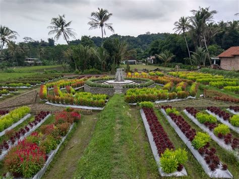 Setelah banyak warga yang menguploadnya di media sosial kini banyak sekali. Wisata Pandeglang Taman Bunga : Taman Bunga di Wisata ...