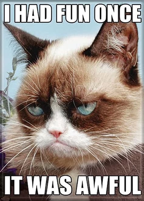 Buy Grumpy Cat I Had Fun Once It Was Awful Refrigerator Magnet