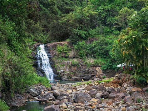 Explore Waimea Valleys Cultural Sites Native Plants And Waterfall