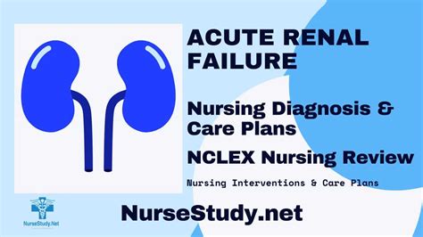 Acute Renal Failure Nursing Diagnosis And Nursing Care Plan Nursestudy Net