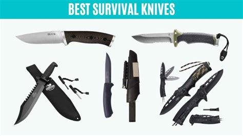 Best Survival Knives Expert Recommendations By Hck