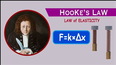 Hookes Law Law Of Elasticity Explained Details Animation Youtube