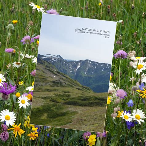 Journal Is Now Published Tiny Seed Literary Journal