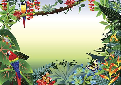 Royalty Free Rain Forest Clip Art Vector Images