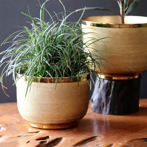 Beautiful Brass Planter For Indoor Plants Mora Taara Home Decor