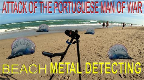 Attack Of The Portuguese Man Of War Beach Metal Detecting Youtube