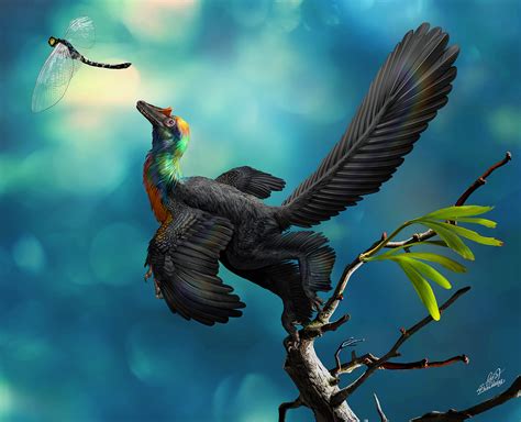 A Bizarre Dinosaur Informs Feather Evolution Nature Portfolio Ecology