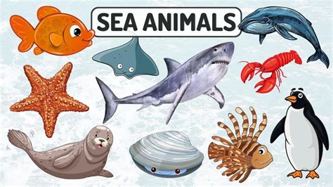 Sea Animals Names For Children Water Animals For Kids Learn Sea