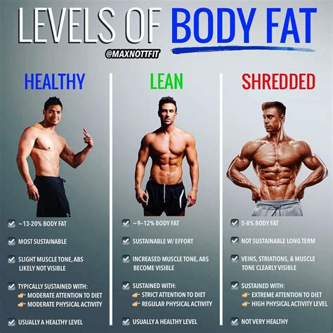 How To Burn Belly Fat And Maintain Muscle Tokhow