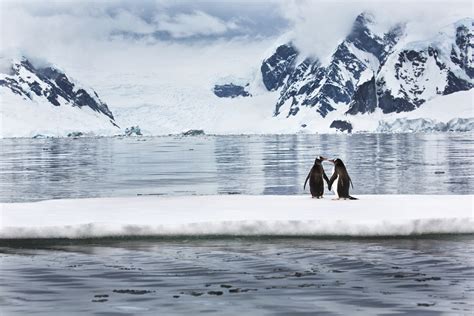 Explore Antarctica Through Ira Meyers Breathtaking Photo Collection Planet Custodian